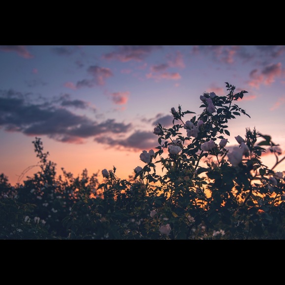 Meet your Posher, Kimberly - Picture 1 of 1